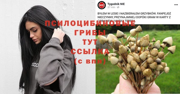 герыч Козловка