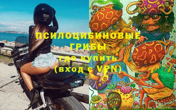 герыч Козловка