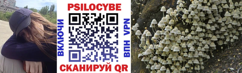 Галлюциногенные грибы мухоморы  Купить закладки  Курган 